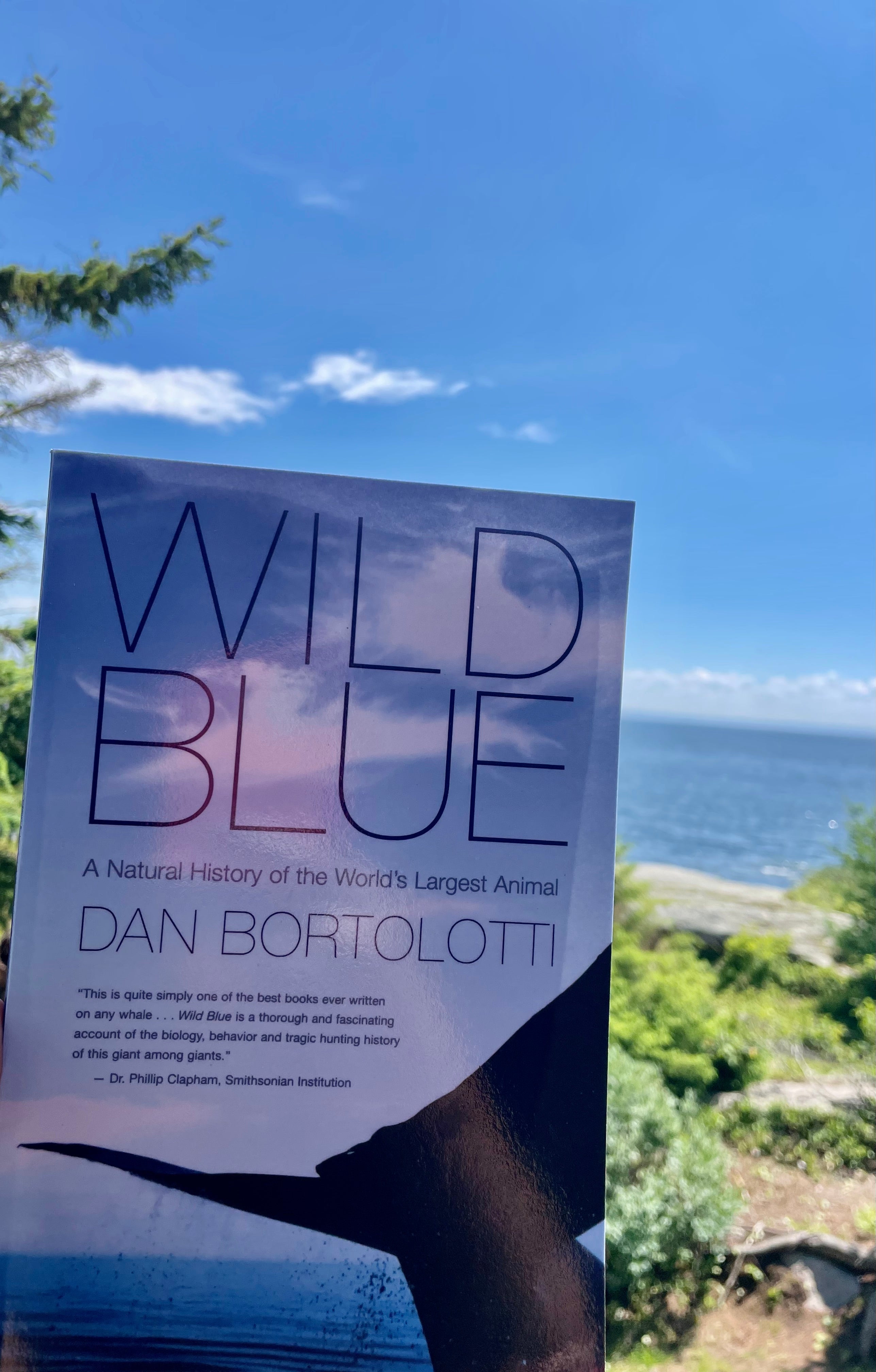 Wild Blue by Dan Bortolotti